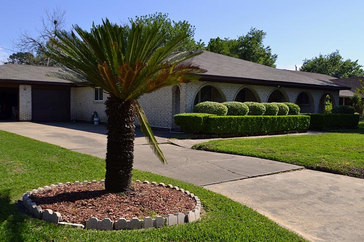 Revitalize Your Outdoor Space by Lessening Lawn